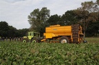 Nordhorn-2012- 2 